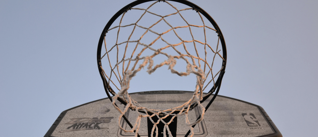 Basketball net