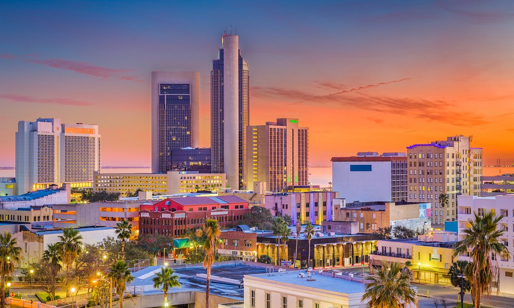 Where Can I Watch, Bet the Floyd Mayweather vs. Logan Paul Fight From Corpus Christi