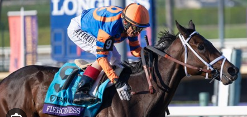 Fierceness in a horse race