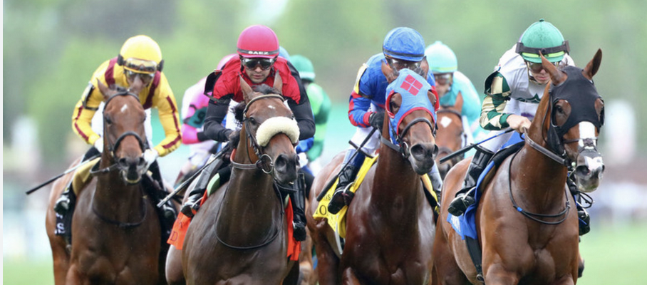 2026 Travers Stakes Race Odds
