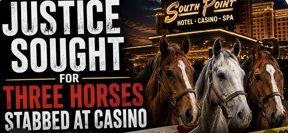Teen Girl Accused of Stabbing Three Horses at Las Vegas Casino Could Be Tried as Adult 