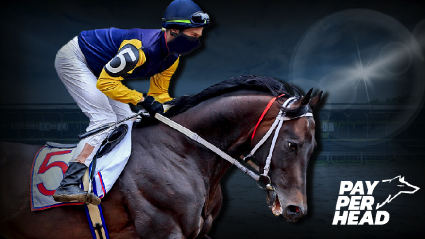 The Kentucky Derby 2019 Contender Odds & Bookie Strategies