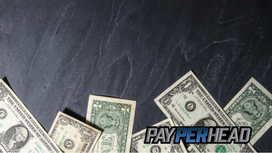 How Pay Per Head Reporting Can Improve Your Business