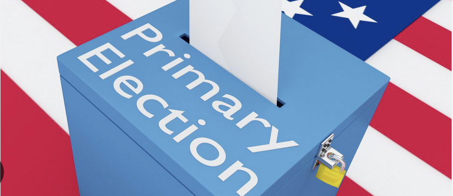 Primary elections