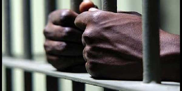 Gambling-Addicted Designer Jailed for 6 Years