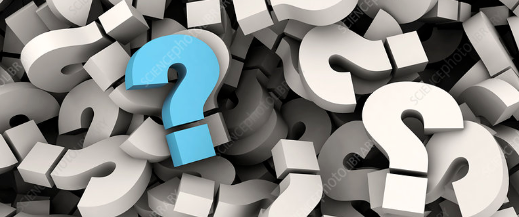 How Long Does it Take to Set Up a Pay Per Head Sportsbook?