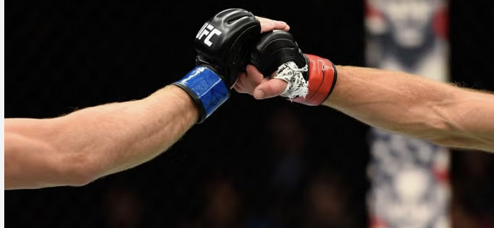 UFC gloves and arms