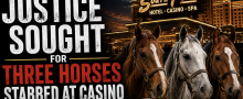 Teen Girl Accused of Stabbing Three Horses at Las Vegas Casino Could Be Tried as Adult 