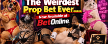 Prostitution, Bestiality and the FBI: Will Congress Act? There's a Bet for That..... But It's Not What You Think