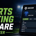 PPH for Soccer - Best Soccer Betting Software