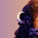 Graton Resort & Casino Hosts World Premier of Aristocrat Gaming's Buffalo Super Rush