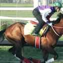 What Are the Payout Odds if Forever Young Wins This Year's Breeders Cup Classic?