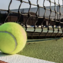 Talia Gibson v Fiona Ferro Betting Odds - WTA Singapore 2026