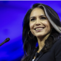 Tulsi Gabbard 
