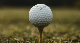 Golf ball