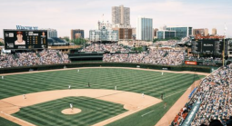 MLB ball park