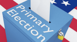 Primary elections