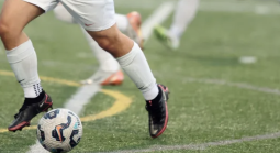 Soccer players on the field