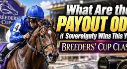 What Are the Payout Odds if Sovereignty Wins This Year's Breeders Cup Classic?