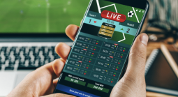 How to Choose the Right Sports Arbitrage Betting Software