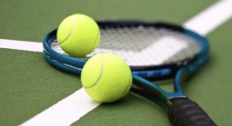 ATP Halle 2026 Betting Markets: Alexander Zverev v Raphael Collignon Payout Odds