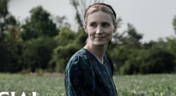 Oscar Payout Odds 2023: Best Adapted, Original Screenplay