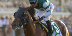 Odds to Win the 2019 Pegasus World Cup