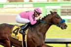 Anothertwistafate Preakness Stakes Payout Odds 7-1