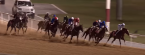Can I Bet The Dubai World Cup On TwinSpires From My State?