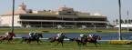 Bookies to Flock to Gulfstream Park This Kentucky Derby: Betting Seminar Unveiled 