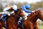 Towcester 16:30 Betting Odds 2017: Taurian Top Drifter