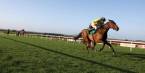 Navan Racing - 2017 Flyingbolt Novice Chase Betting Odds