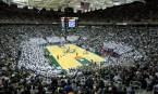 What is the Line on the Michigan vs. MSU Game? Bet Online 