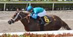 Odds on Magnum Moon Winning the Kentucky Derby 