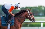 Maximum Security Kentucky Derby Payout Odds 