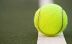 2019 French Open Prop Bets, Outright Odds