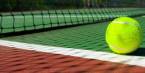 Customized Bookie, Pay Per Head Odds for the 2017 Wimbledon Ladies