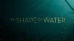 What Are the Odds of The Shape of Water Winning the Oscar for Best Picture?