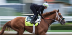 Parx Racing’s Dirt Mile and Two Turns Create a Stamina Test That Separates True Classic Types