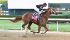 What Are the Payout Odds for Cyberknife to Win the Kentucky Derby? 