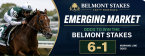  What Are the Payout Odds if Emerging Market Wins the Belmont Stakes?