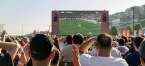 White Label Sportsbook Solutions: Features, Costs and Providers
