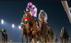 What Will Fore Left Pay Out to Win the Belmont Stakes 
