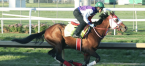 Horse racing