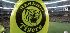 7月17日 日本プロ野球オッズ：阪神タイガース vs. 広島東洋カープ
