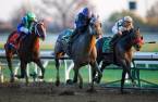  Hot Rod Charlie Kentucky Derby Payout Odds