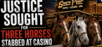 Teen Girl Accused of Stabbing Three Horses at Las Vegas Casino Could Be Tried as Adult 