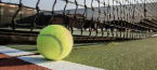 Talia Gibson v Fiona Ferro Betting Odds - WTA Singapore 2026