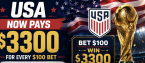 USA Current Payout Odds to Win the 2026 World Cup Now $3300 for Every $100 Bet